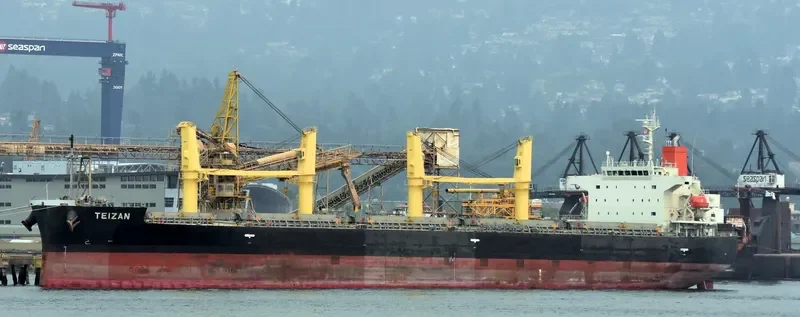 TRUE CONFIDENCE Bulk Carrier IMO 9460784 photo 4