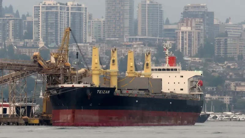 TRUE CONFIDENCE Bulk Carrier IMO 9460784 photo 5