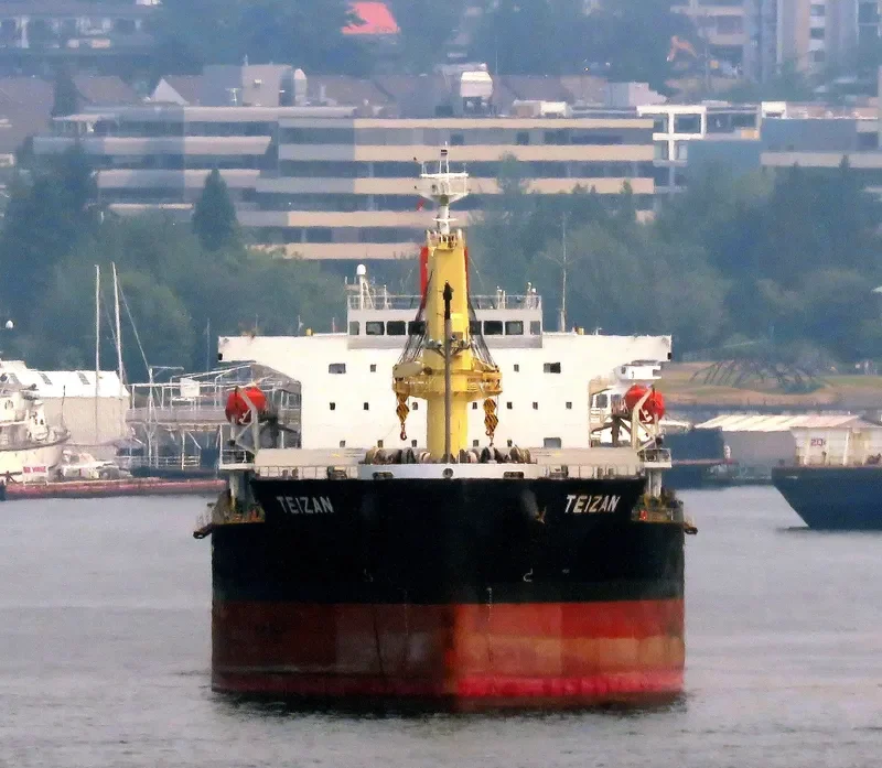 TRUE CONFIDENCE Bulk Carrier IMO 9460784 photo 8