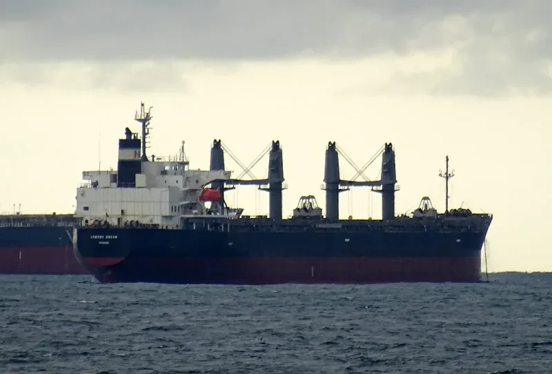 CHERRY DREAM Bulk Carrier IMO 9460796