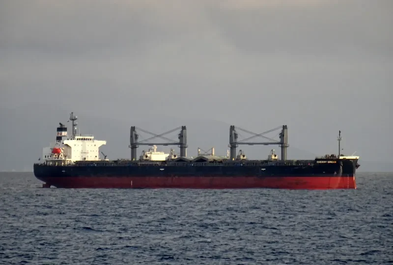 CHERRY DREAM Bulk Carrier IMO 9460796 photo 2