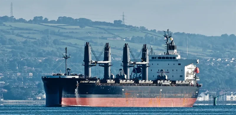 CHERRY DREAM Bulk Carrier IMO 9460796 photo 3