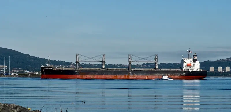 CHERRY DREAM Bulk Carrier IMO 9460796 photo 4