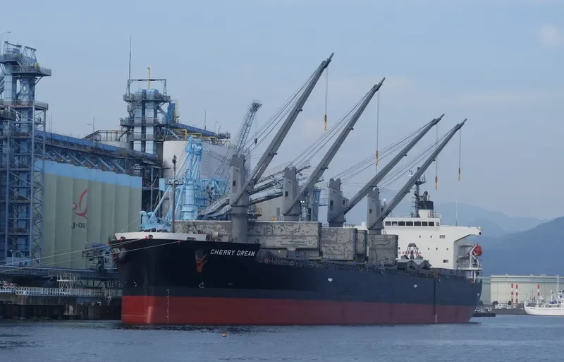 CHERRY DREAM Bulk Carrier IMO 9460796 photo 5