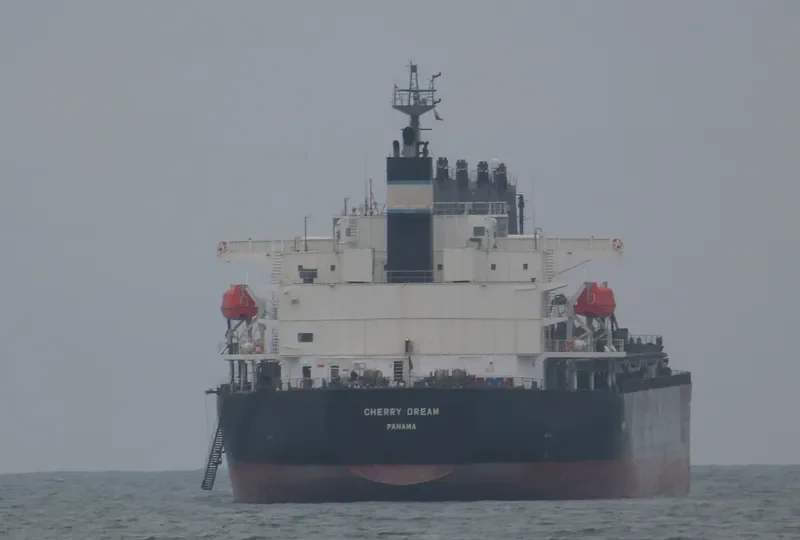CHERRY DREAM Bulk Carrier IMO 9460796 photo 6