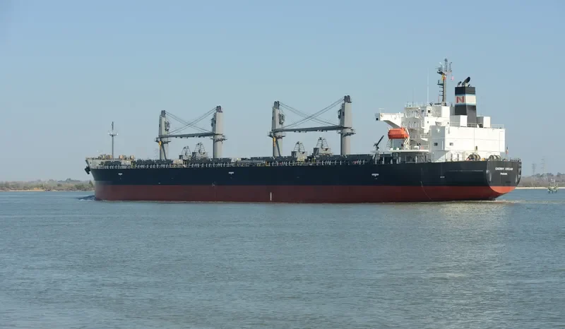 CHERRY DREAM Bulk Carrier IMO 9460796 photo 7