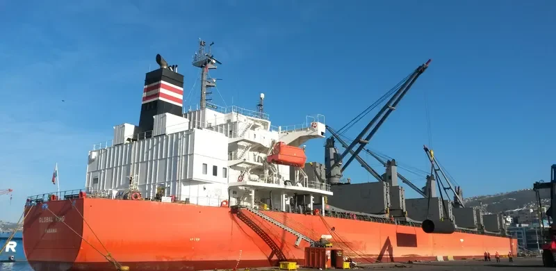 BAY PEARL Bulk Carrier IMO 9460801