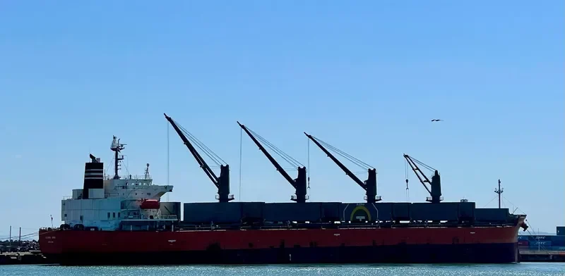 BAY PEARL Bulk Carrier IMO 9460801 photo 6