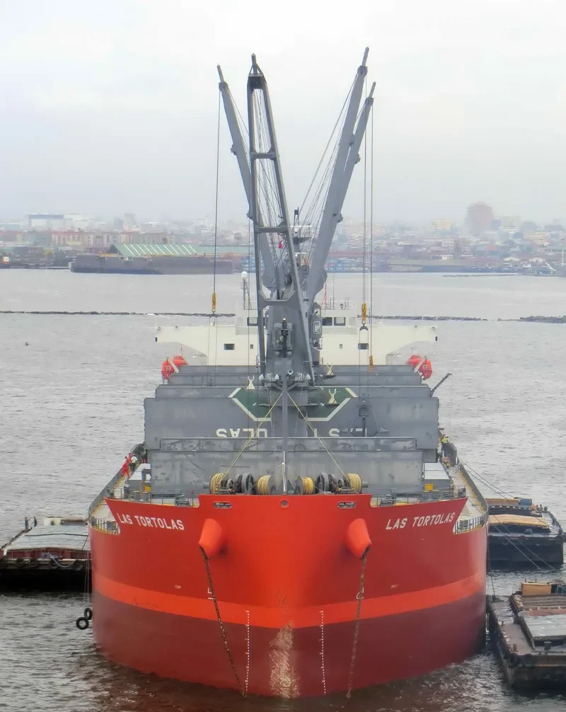 TREMOLA Bulk Carrier IMO 9460813 photo 4