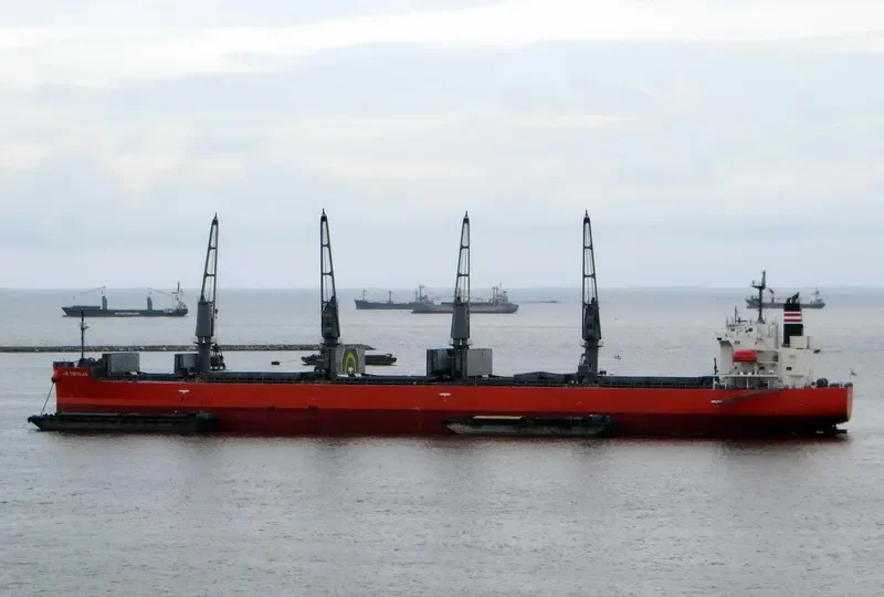 TREMOLA Bulk Carrier IMO 9460813 photo 5