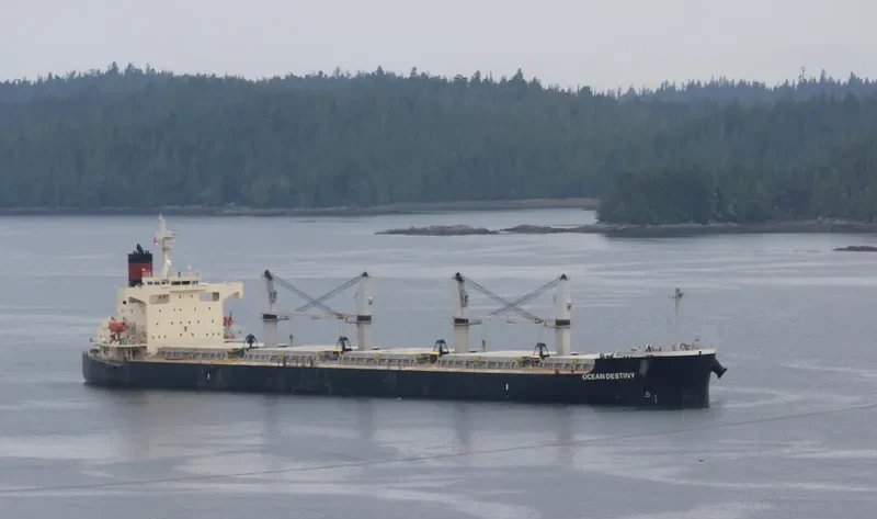 OCEAN DESTINY Bulk Carrier IMO 9460863