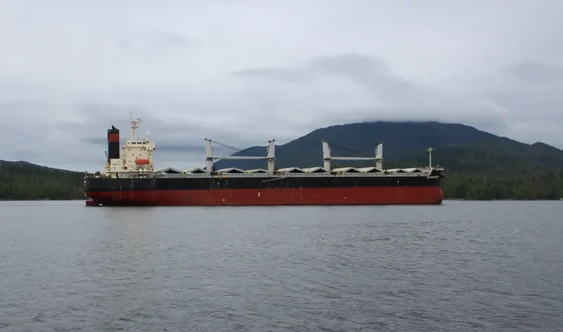 OCEAN DESTINY Bulk Carrier IMO 9460863 photo 2