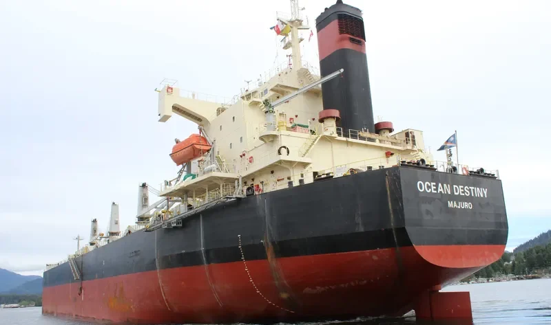 OCEAN DESTINY Bulk Carrier IMO 9460863 photo 3