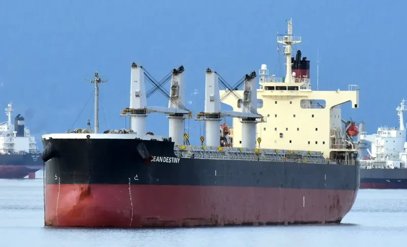 OCEAN DESTINY Bulk Carrier IMO 9460863 photo 4