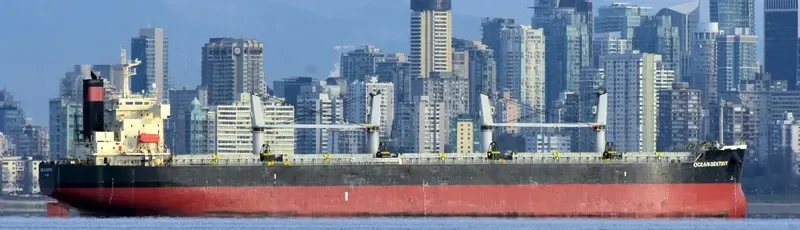 OCEAN DESTINY Bulk Carrier IMO 9460863 photo 5