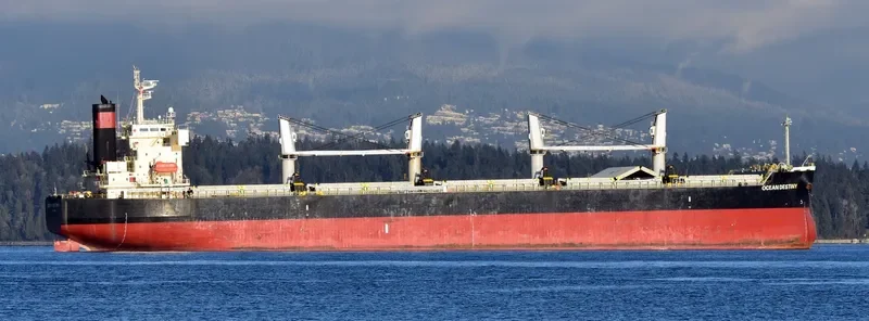 OCEAN DESTINY Bulk Carrier IMO 9460863 photo 6