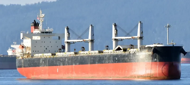 OCEAN DESTINY Bulk Carrier IMO 9460863 photo 7
