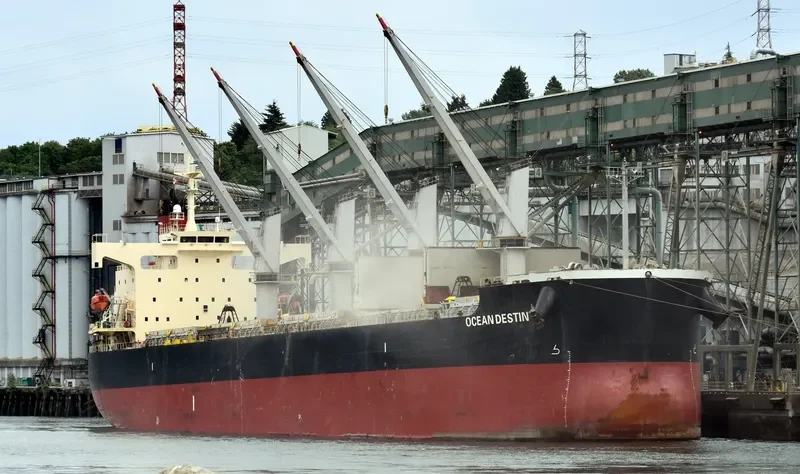 OCEAN DESTINY Bulk Carrier IMO 9460863 photo 8