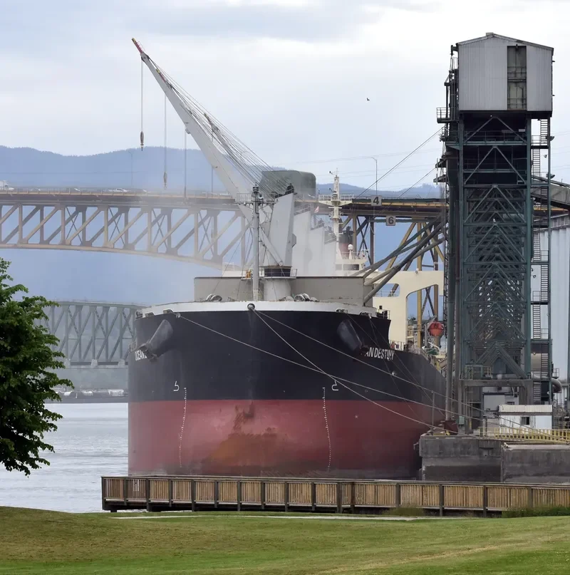 OCEAN DESTINY Bulk Carrier IMO 9460863 photo 9