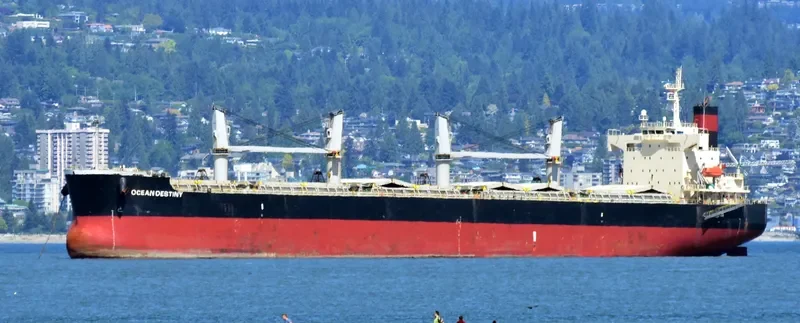OCEAN DESTINY Bulk Carrier IMO 9460863 photo 10