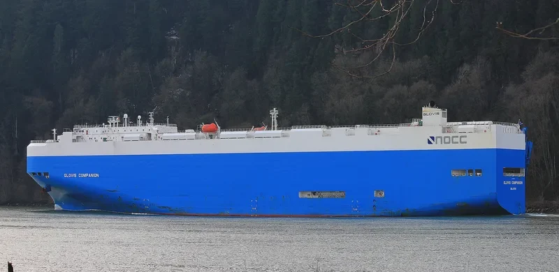 GLOVIS COMPANION General Cargo IMO 9460899 photo 2