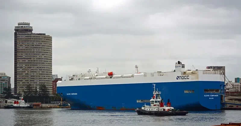 GLOVIS COMPANION General Cargo IMO 9460899 photo 3