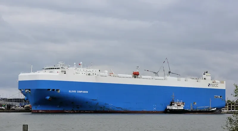 GLOVIS COMPANION General Cargo IMO 9460899 photo 4