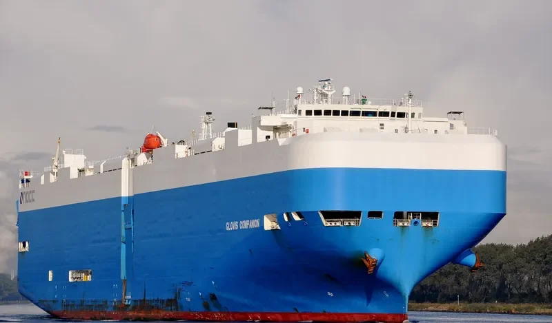 GLOVIS COMPANION General Cargo IMO 9460899 photo 6