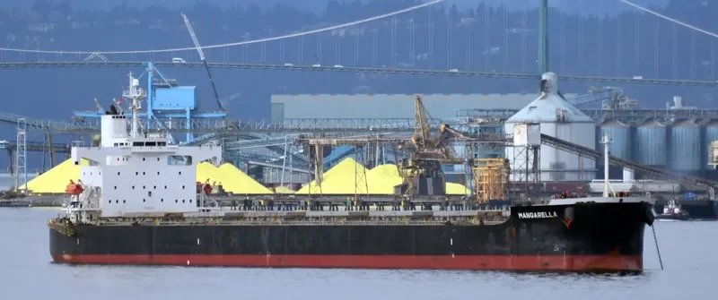 ONE OCEAN Bulk Carrier IMO 9460904