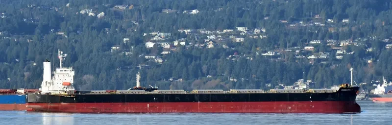 ONE OCEAN Bulk Carrier IMO 9460904 photo 3