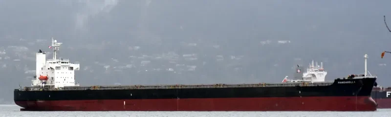 ONE OCEAN Bulk Carrier IMO 9460904 photo 5