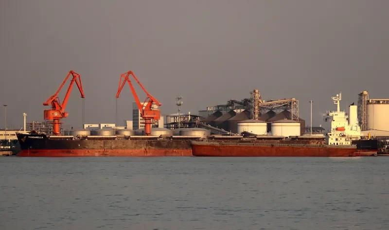ONE OCEAN Bulk Carrier IMO 9460904 photo 7