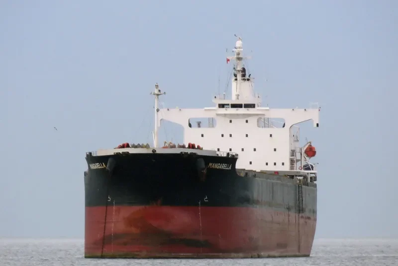 ONE OCEAN Bulk Carrier IMO 9460904 photo 8