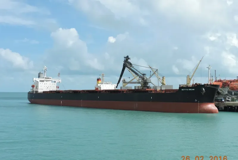 BETTYS DREAM Bulk Carrier IMO 9460916