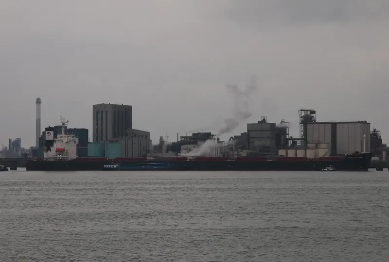 BETTYS DREAM Bulk Carrier IMO 9460916 photo 7