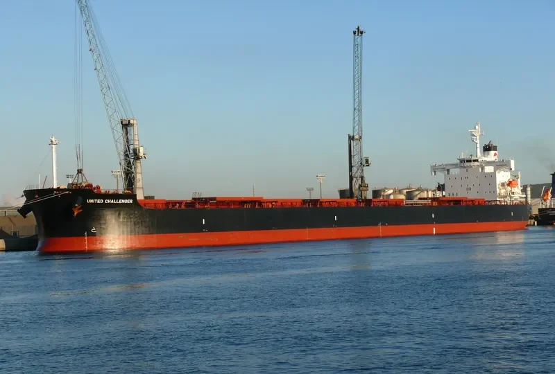 BETTYS DREAM Bulk Carrier IMO 9460916 photo 8