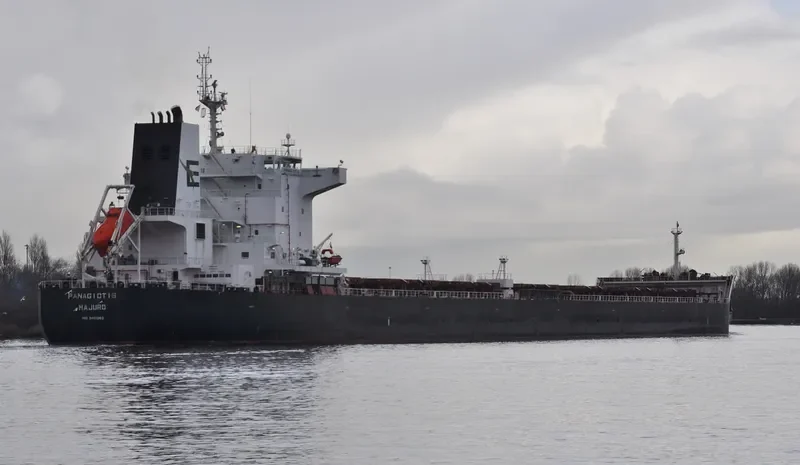 PANAGIOTIS Bulk Carrier IMO 9461063 photo 2