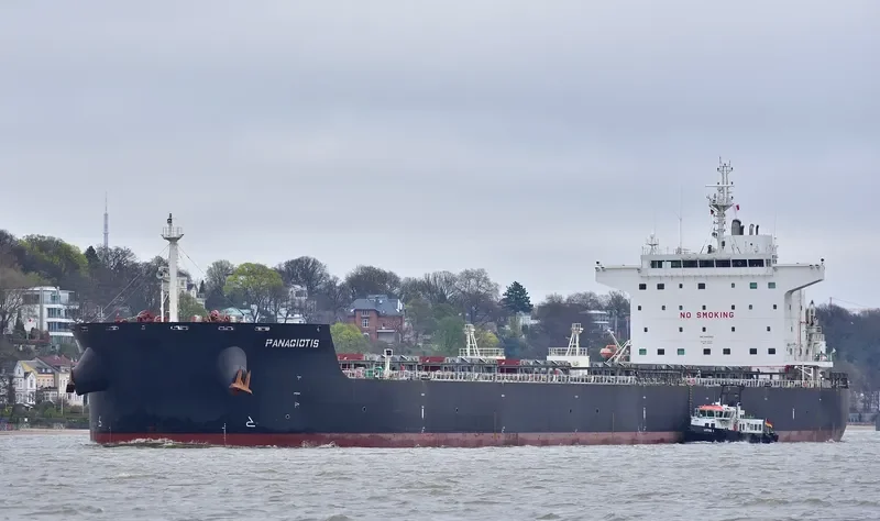 PANAGIOTIS Bulk Carrier IMO 9461063 photo 4