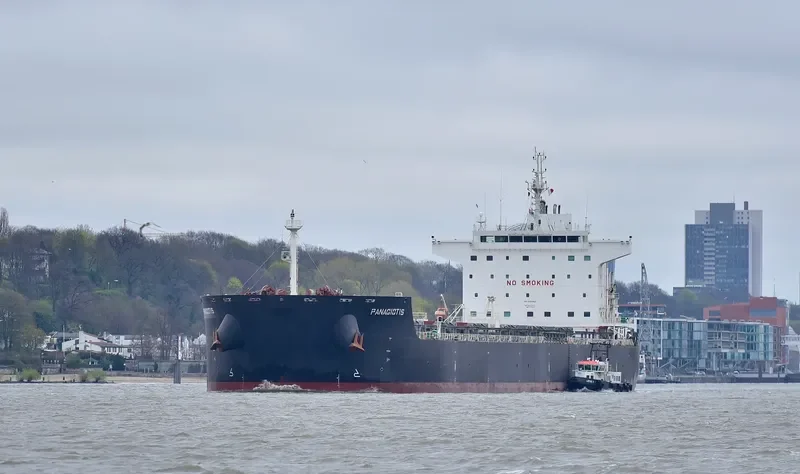 PANAGIOTIS Bulk Carrier IMO 9461063 photo 5