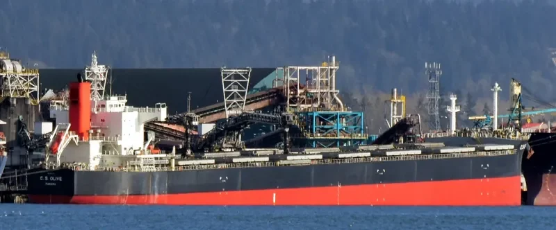 C.S.OLIVE Bulk Carrier IMO 9461075 photo 4