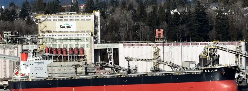 C.S.OLIVE Bulk Carrier IMO 9461075 photo 5