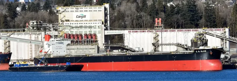 C.S.OLIVE Bulk Carrier IMO 9461075 photo 6