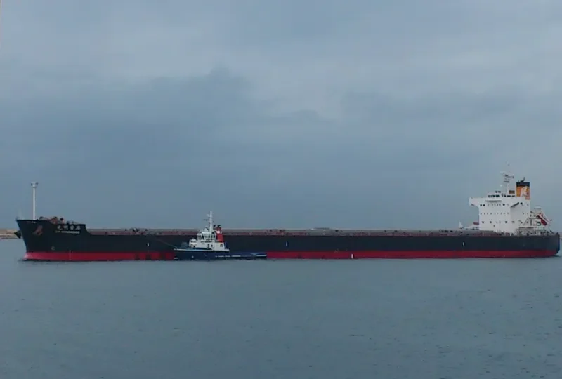 KM HONGKONG Bulk Carrier IMO 9461099 photo 10