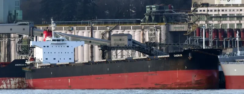 CHORUS Bulk Carrier IMO 9461116