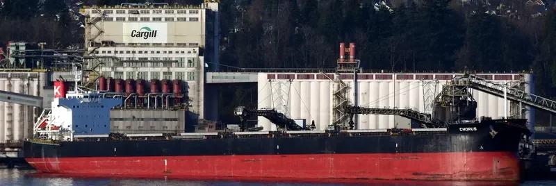 CHORUS Bulk Carrier IMO 9461116 photo 2