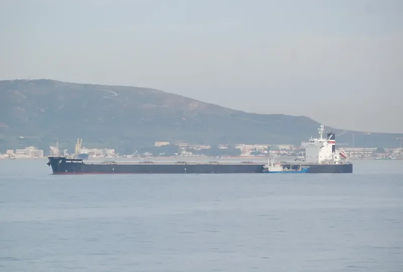 NEA TYHI Bulk Carrier IMO 9461128 photo 6