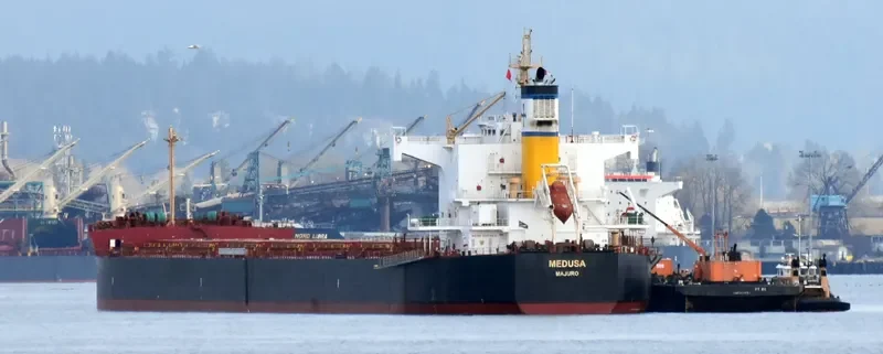 MEDUSA Bulk Carrier IMO 9461130 photo 4