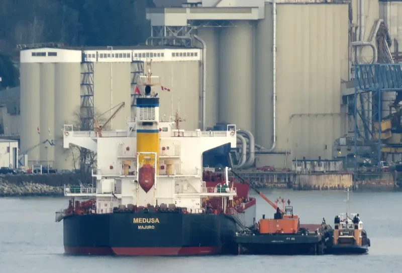 MEDUSA Bulk Carrier IMO 9461130 photo 7