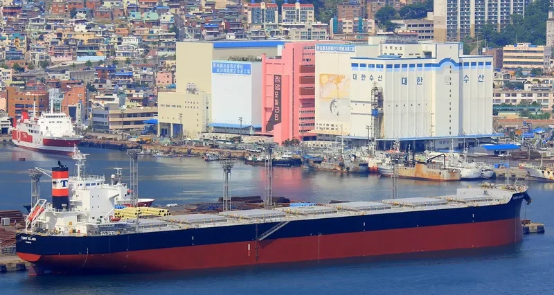 MEDUSA Bulk Carrier IMO 9461130 photo 10