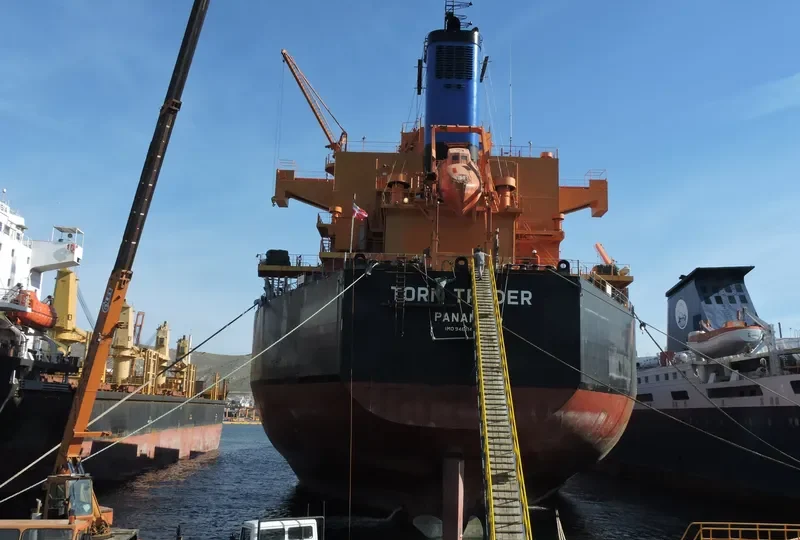 STAR TRADER Bulk Carrier IMO 9461142 photo 3